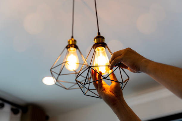 Best Outdoor Lighting Installation  in Franklin, MI